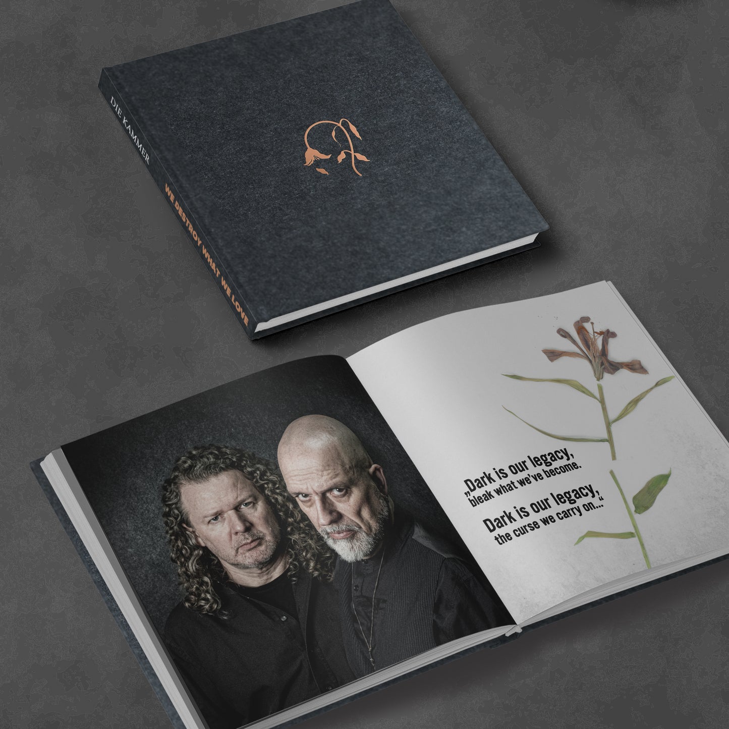 Ltd. Deluxe Box mit CD "Die Kammer - Season VI: We Destroy What We Love."